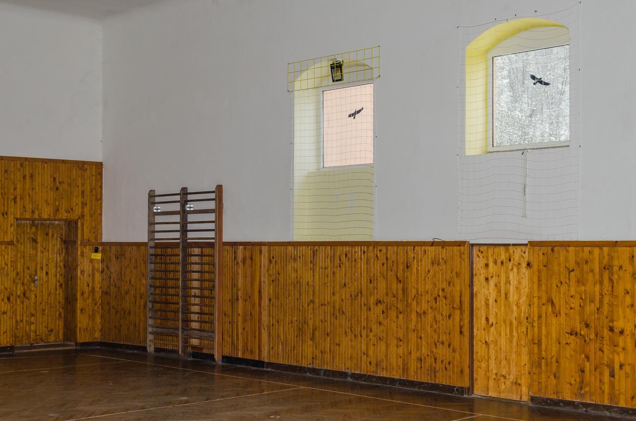 Penzion Sportino Svoboda nad Úpou Exterior foto
