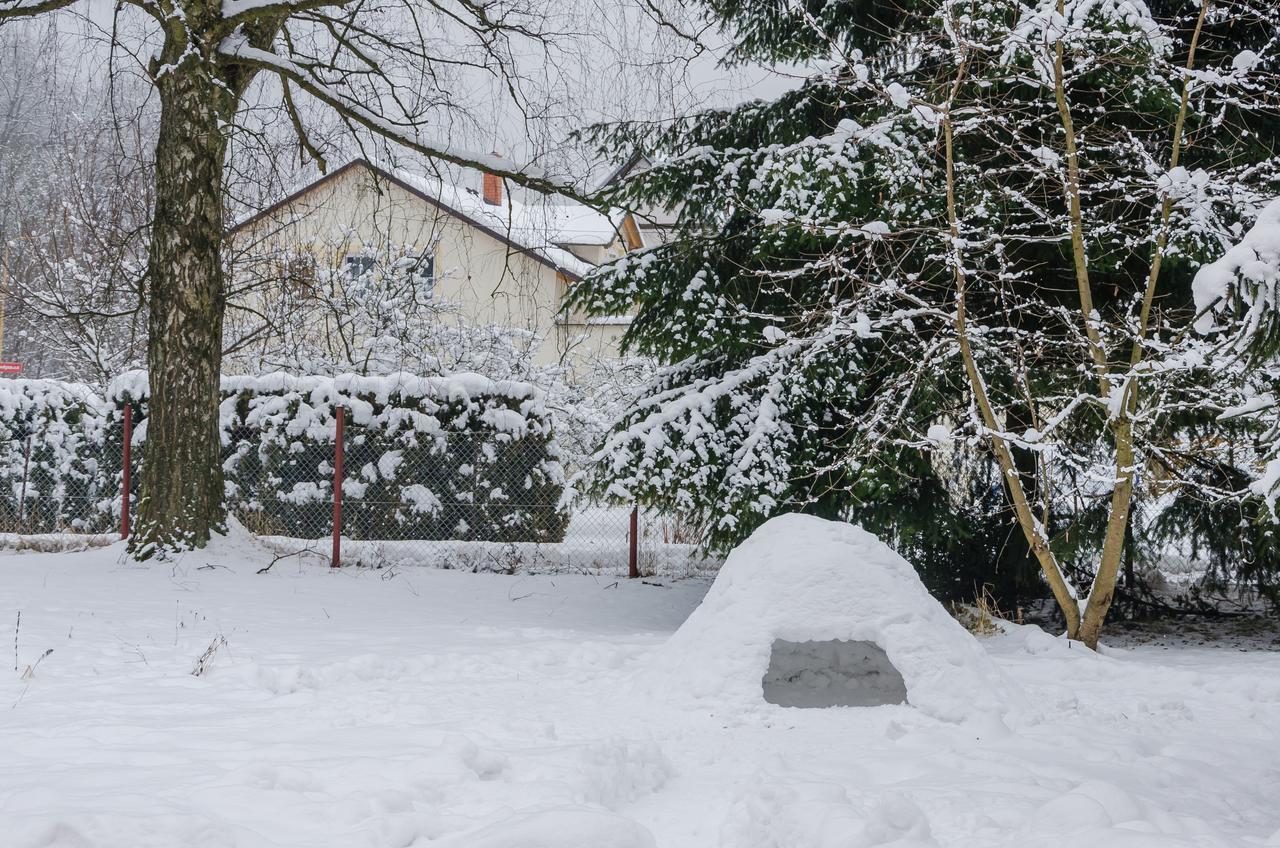 Penzion Sportino Svoboda nad Úpou Exterior foto